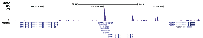 H2A.Zac Antibody for ChIP-seq assay