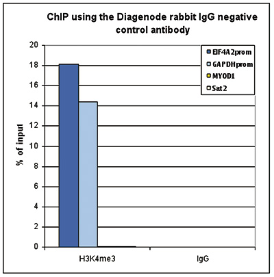 Rabbit IgG Antibody ChIP Grade
