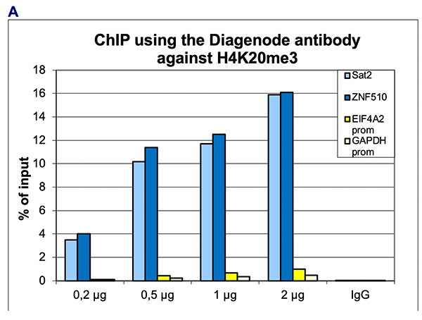 H4K20me3 Antibody ChIP Grade
