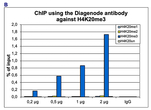 H4K20me3 Antibody for ChIP