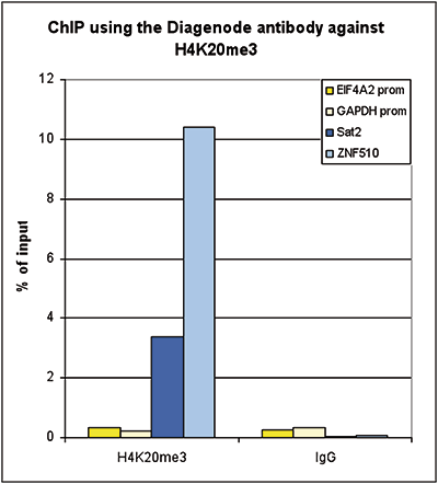 H4K20me3 Antibody for ChIP assay