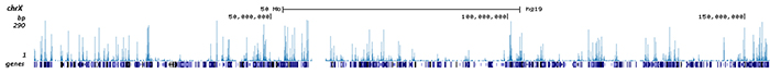 RNA immunoprecipitation 