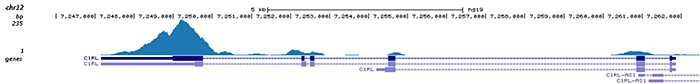 RNA immunoprecipitation 