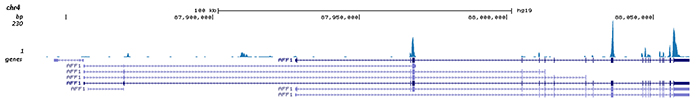 RNA immunoprecipitation 