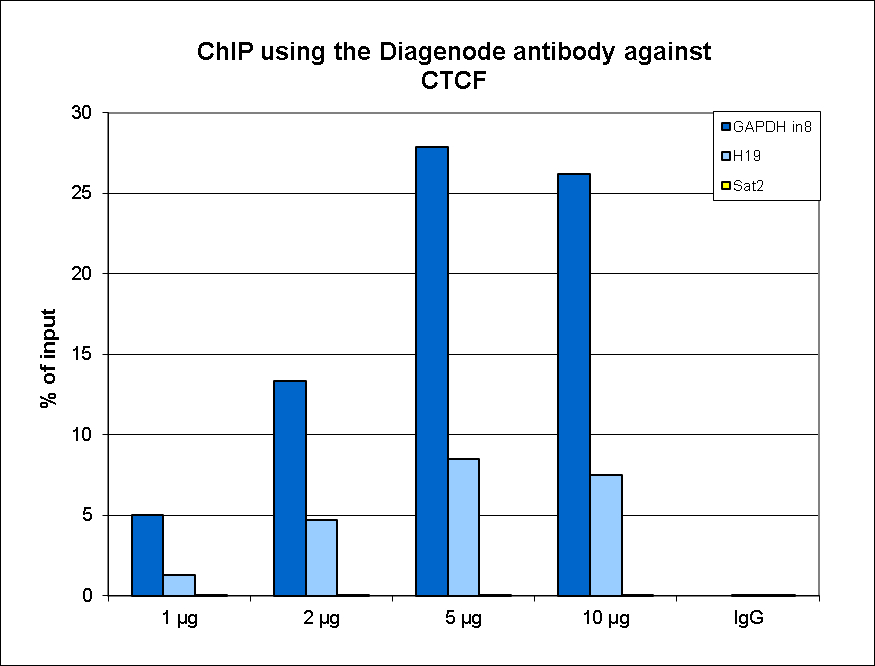 CTCF Antibody ChIP Grade