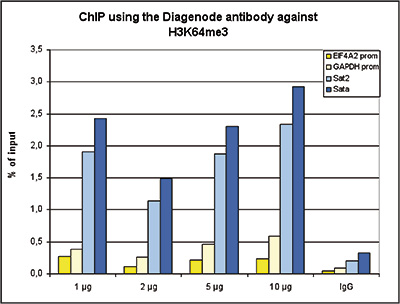 H3K64me3 Antibody ChIP Grade