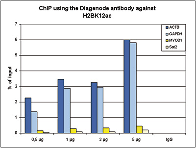 H2BK12ac Antibody ChIP Grade