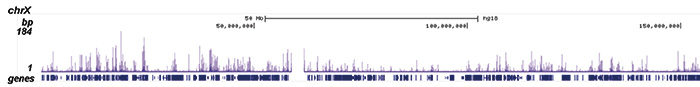 H2BK12ac Antibody ChIP-seq Grade