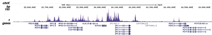 H2BK12ac Antibody for ChIP-seq