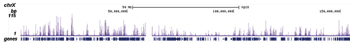 H2AK5ac Antibody ChIP-seq Grade