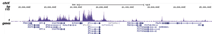 H2AK5ac Antibody for ChIP-seq