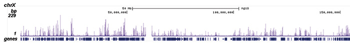 H2BK15ac Antibody ChIP-seq Grade