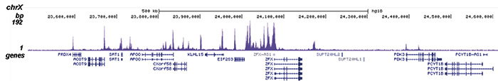 H2BK15ac Antibody for ChIP-seq