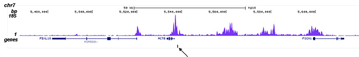 H2BK15ac Antibody for ChIP-seq assay