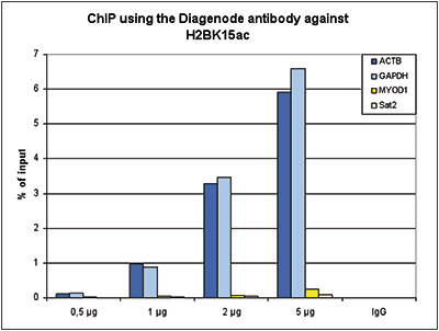 H2BK15ac Antibody ChIP Grade