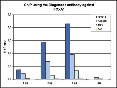 FOXA1 Antibody ChIP Grade