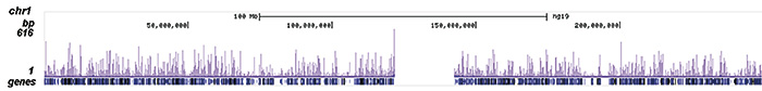 FOXA1 Antibody ChIP-seq Grade