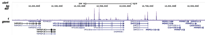 FOXA1 Antibody for ChIP-seq