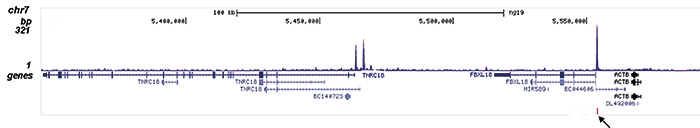 FOXA1 Antibody for ChIP-seq assay