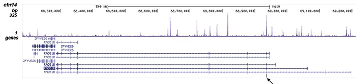 FOXA1 Antibody validated in ChIP-seq