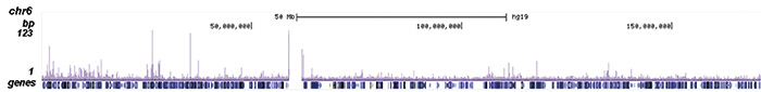 FOXM1 Antibody ChIP-seq Grade