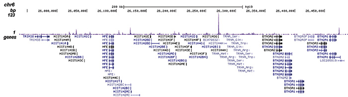 FOXM1 Antibody for ChIP-seq