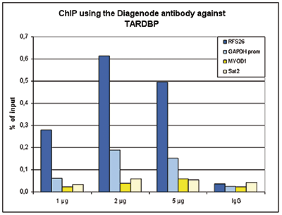 TARDBP Antibody ChIP Grade