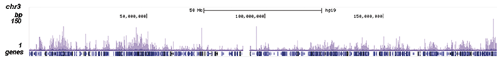 TARDBP Antibody ChIP-seq Grade