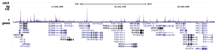 TARDBP Antibody for ChIP-seq