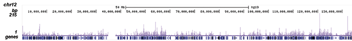 TARDBP Antibody for ChIP-seq assay