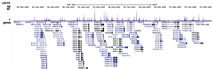 TARDBP Antibody validated in ChIP-seq