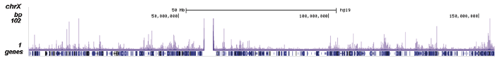 SMAD1 Antibody ChIP-seq Grade