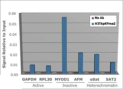 H3T6pK9me2 Antibody ChIP Grade