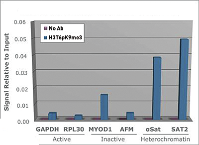 H3T6pK9me3 Antibody ChIP Grade