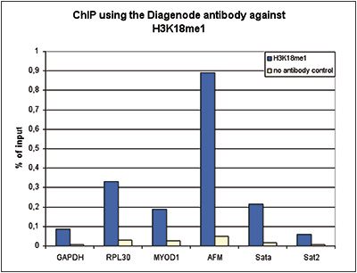 H3K18me1 Antibody ChIP Grade