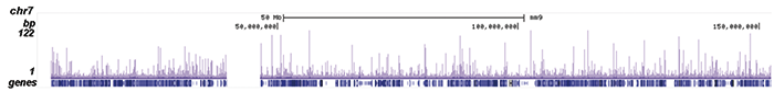 OCT4 Antibody ChIP-seq Grade