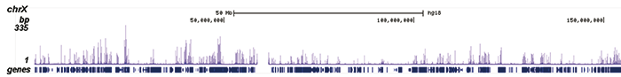 H3K36ac Antibody ChIP-seq Grade 