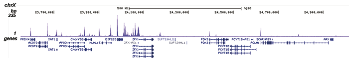 H3K36ac Antibody for ChIP-seq 