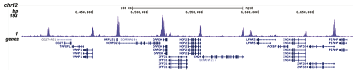 H3K36ac Antibody for ChIP-seq assay