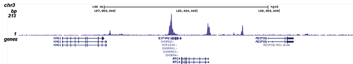 H3K36ac Antibody validated in ChIP-seq 