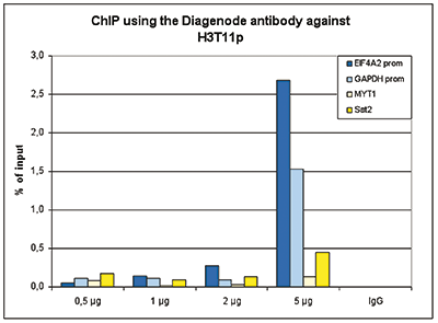 H3T11p Antibody ChIP Grade