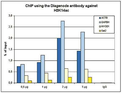 H3K14ac Antibody ChIP Grade