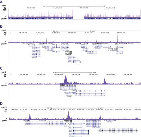 CXXC1 Antibody ChIP-seq Grade