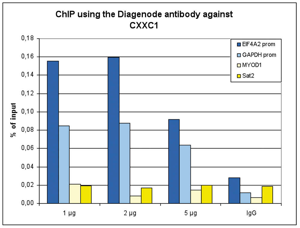CXXC1 Antibody ChIP Grade