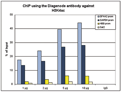 H3K4ac Antibody ChIP Grade
