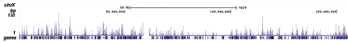 H3K4ac Antibody ChIP-seq Grade