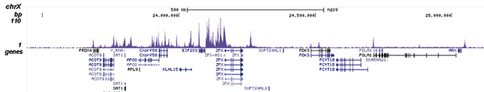 H3K4ac Antibody for ChIP-seq