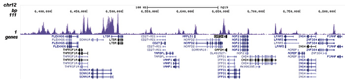 H3K4ac Antibody for ChIP-seq assay