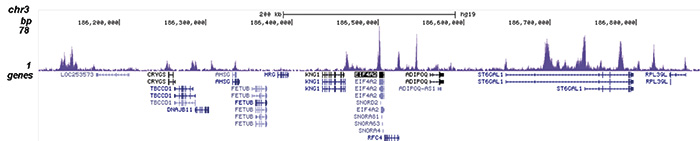 H3K4ac Antibody validated in ChIP-seq