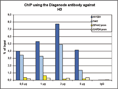 H3pan Antibody ChIP Grade